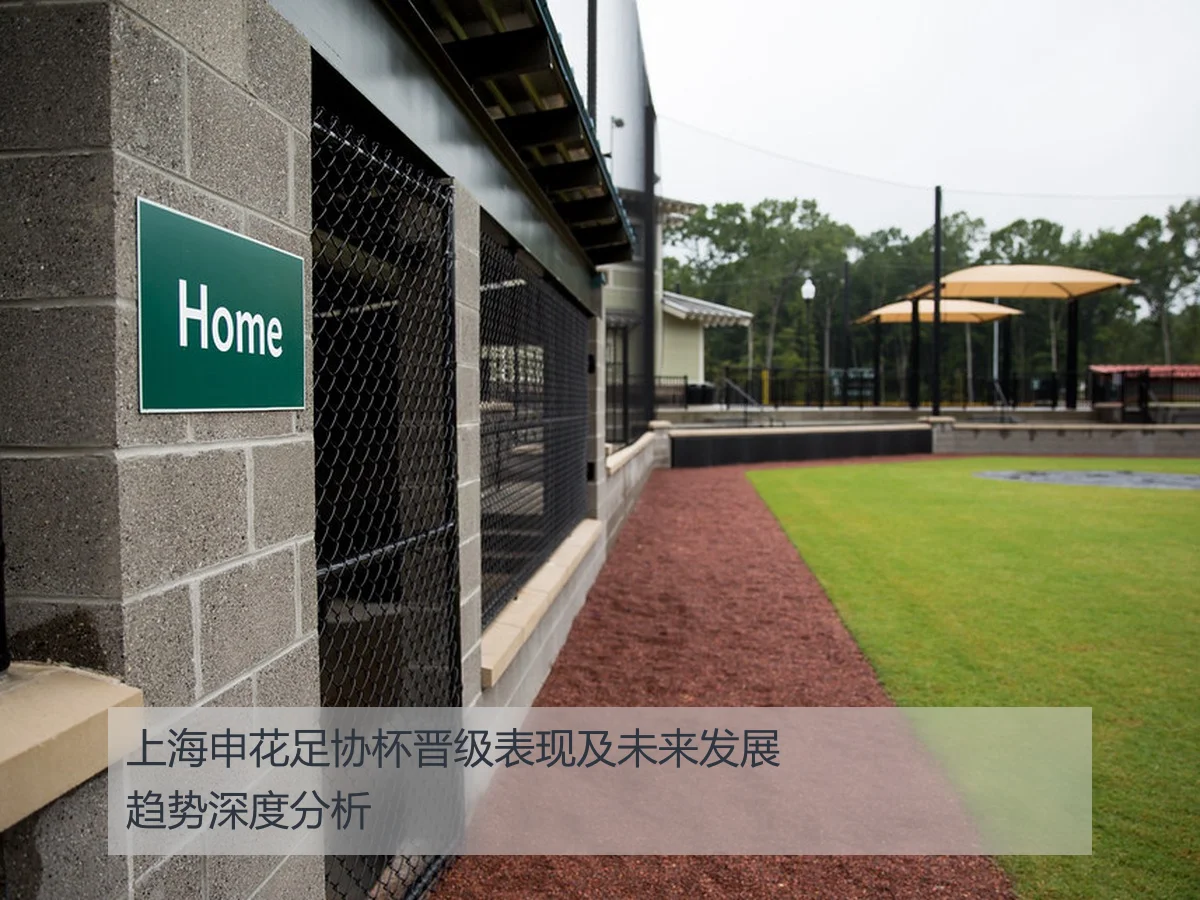 上海申花足协杯晋级表现及未来发展趋势深度分析